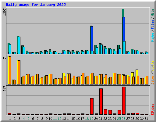 Daily usage for January 2025
