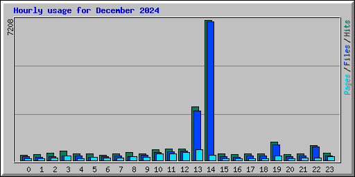 Hourly usage for December 2024
