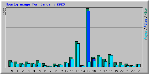 Hourly usage for January 2025