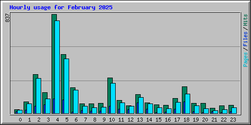 Hourly usage for February 2025
