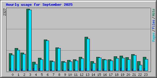 Hourly usage for September 2025