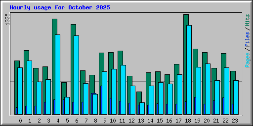 Hourly usage for October 2025