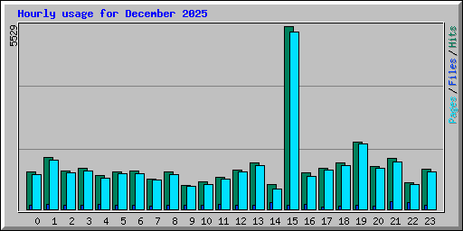 Hourly usage for December 2025