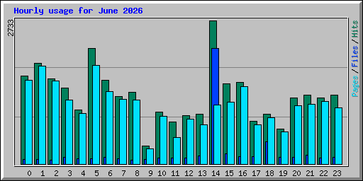 Hourly usage for June 2026